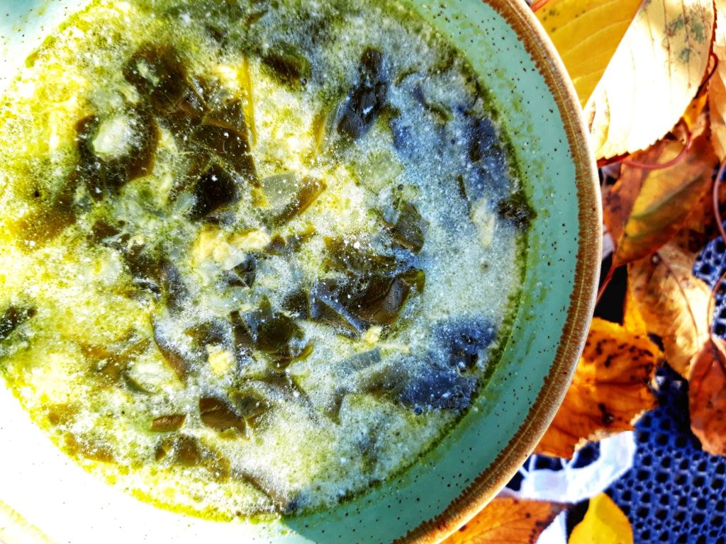 Ciorba de spanac din&nbsp;copilărie