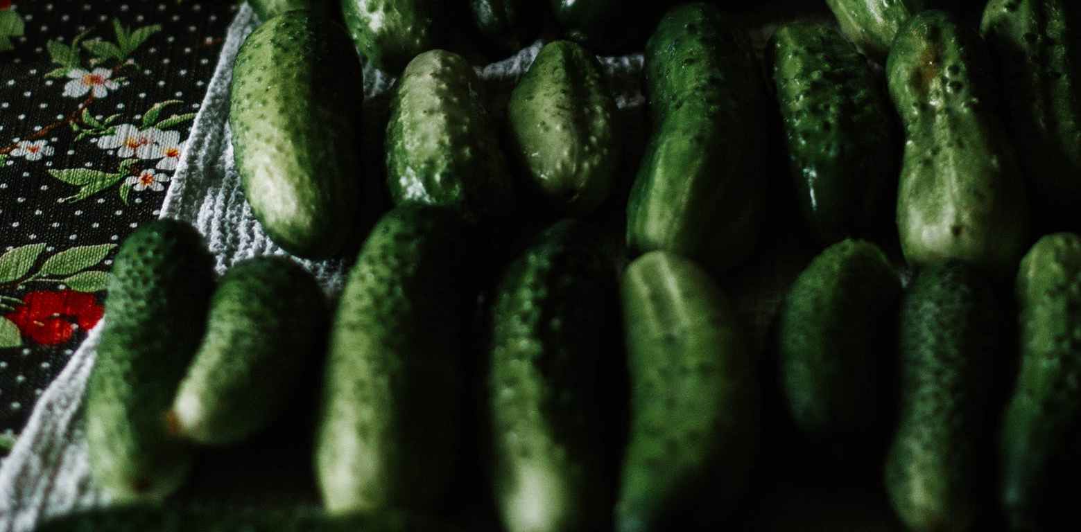 close up photo of cucumbers