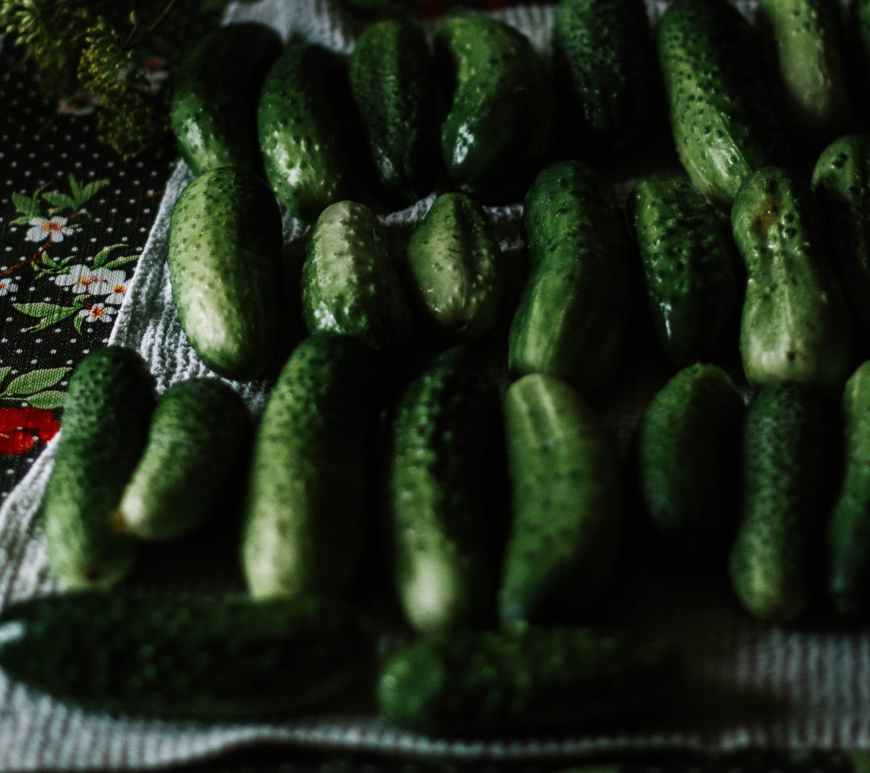 close up photo of cucumbers