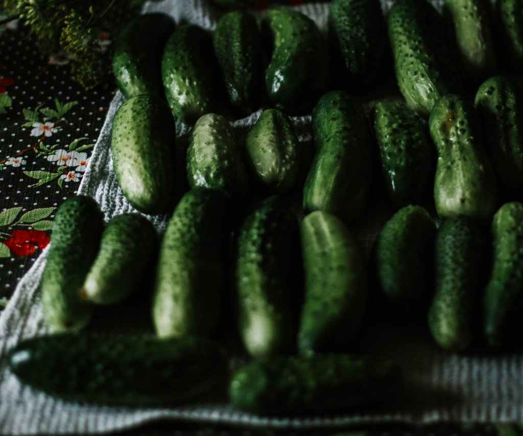 close up photo of cucumbers