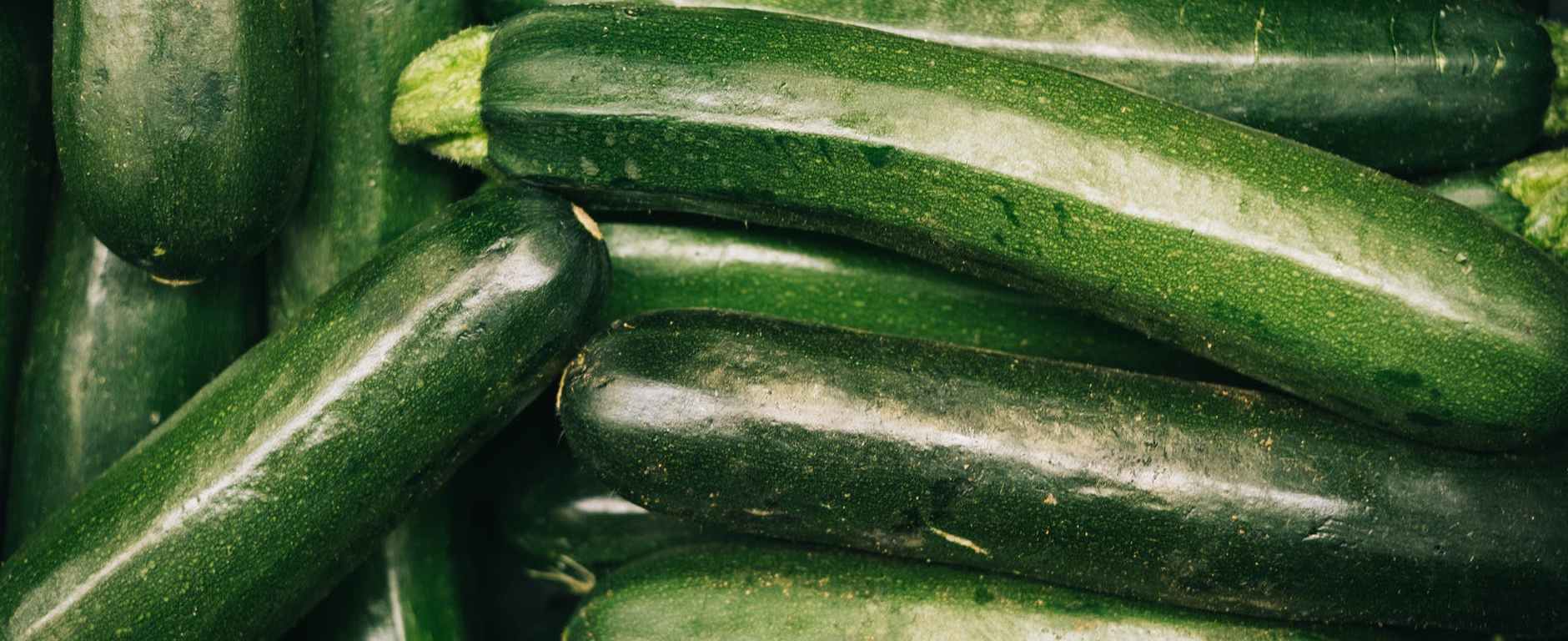close up photo of zucchini