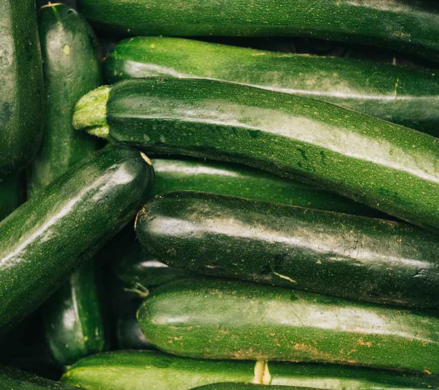 close up photo of zucchini