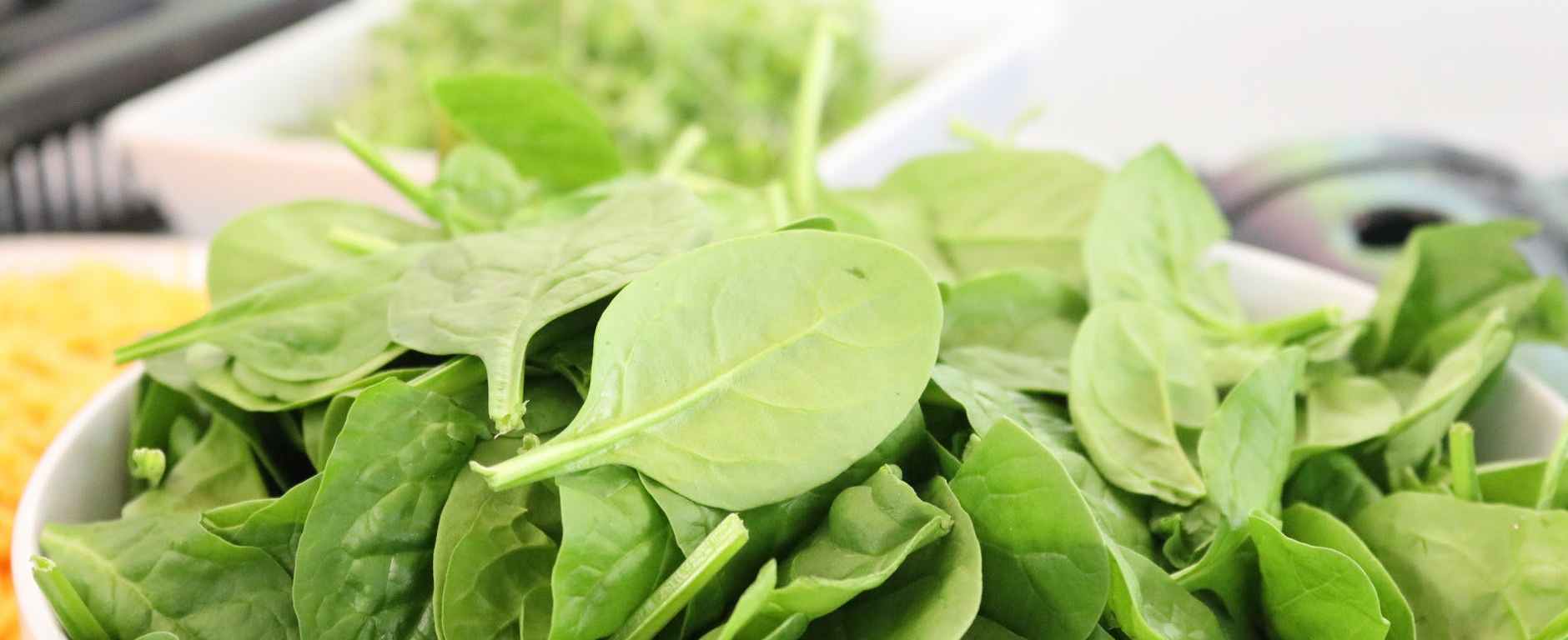 bowl of spinach