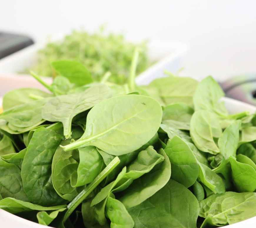 bowl of spinach