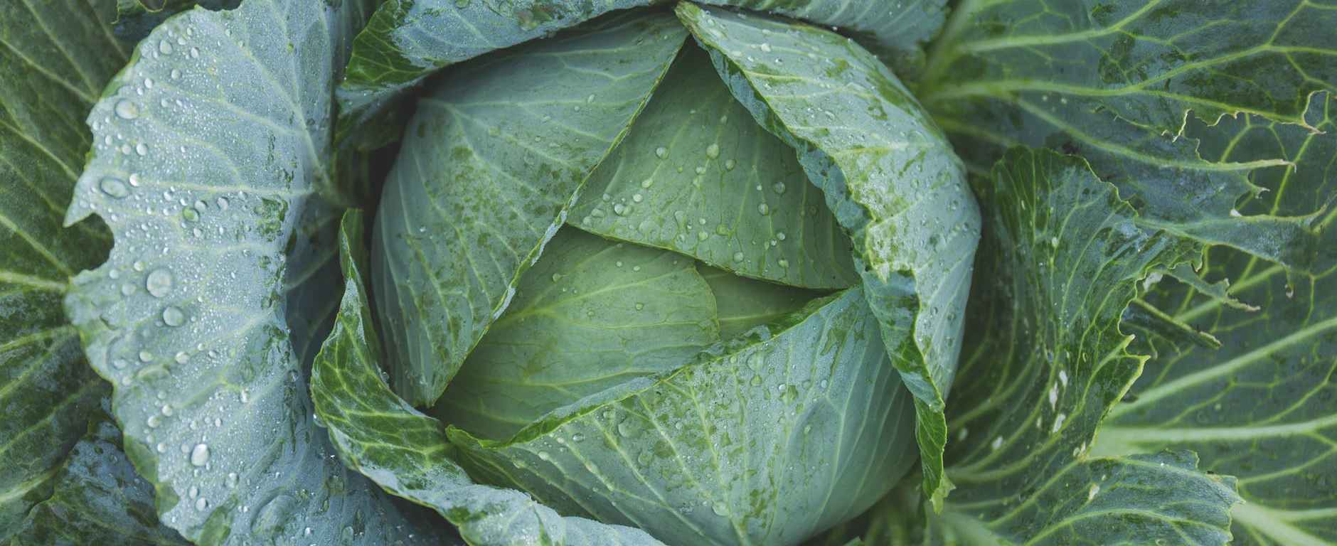 food water summer texture