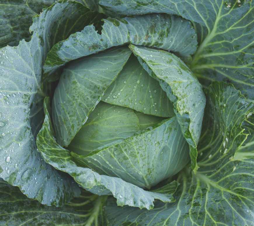 food water summer texture