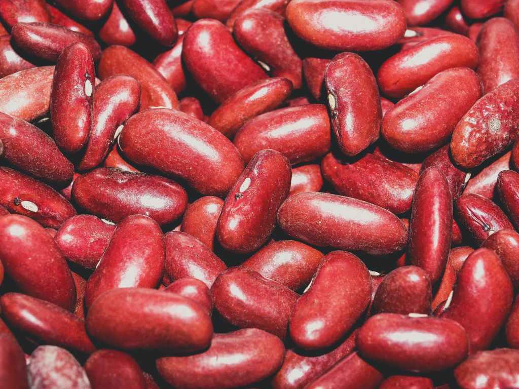 red seed lot