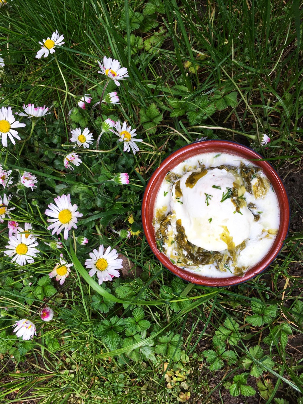 Selata cu ou sau ciorba de salata ca in&nbsp;Bihor