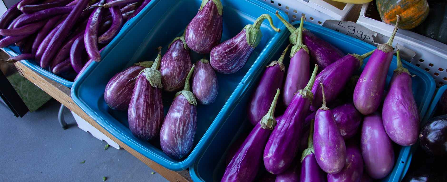 top view photo of vegetables