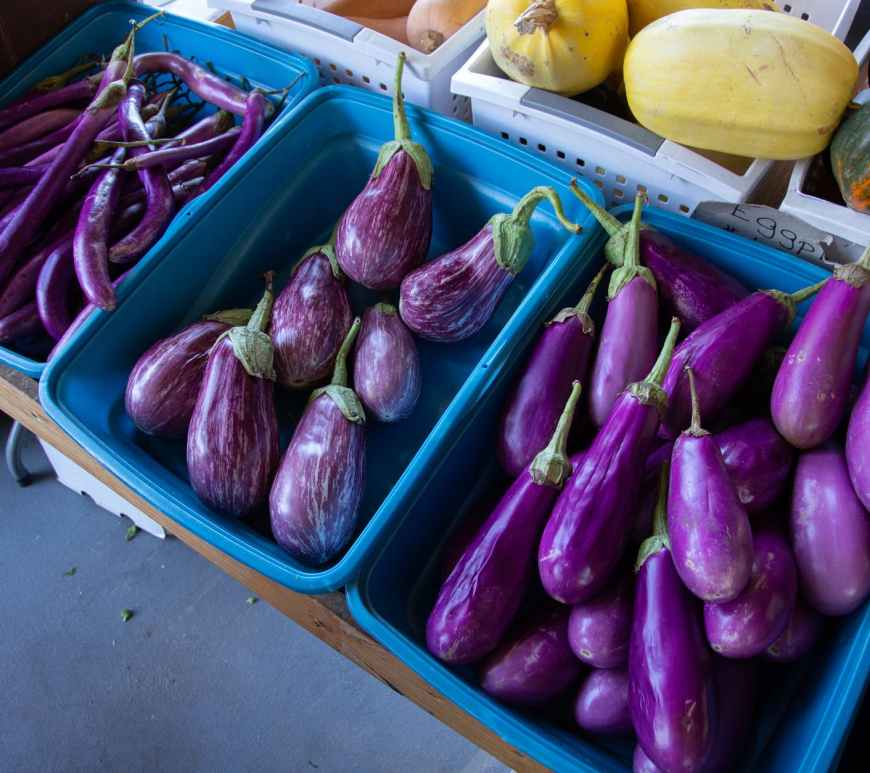 top view photo of vegetables