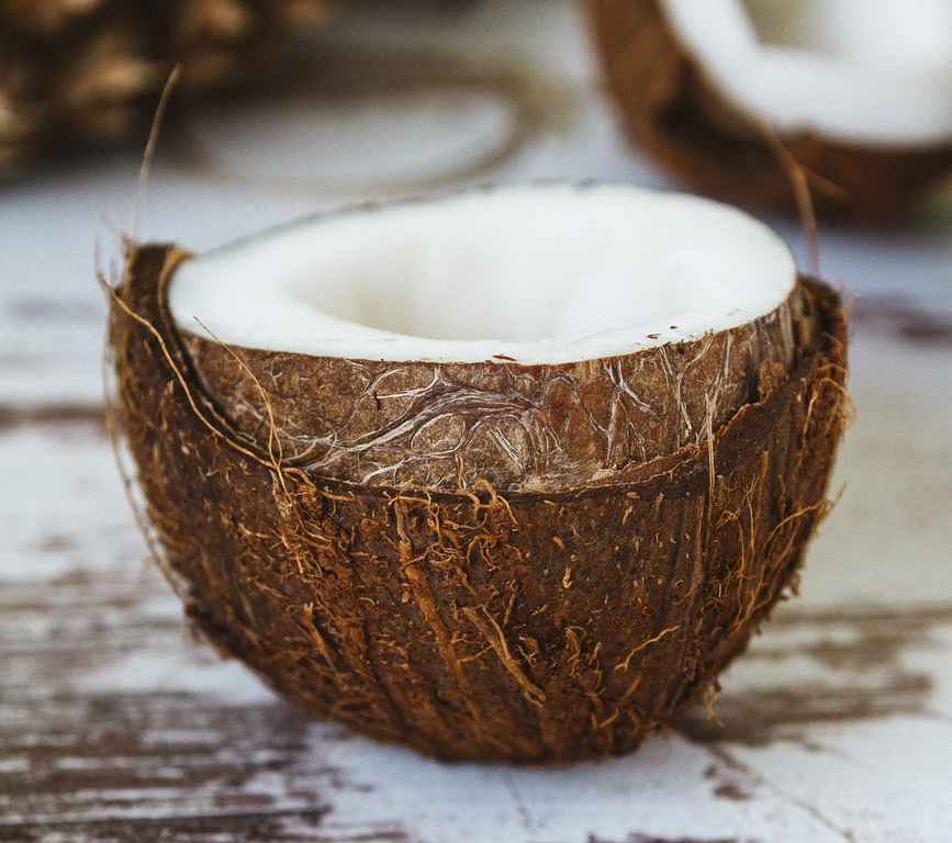 coconut