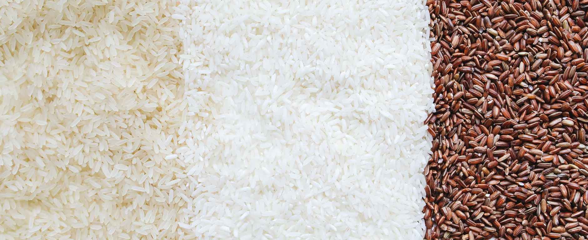 close up photo of assorted rice