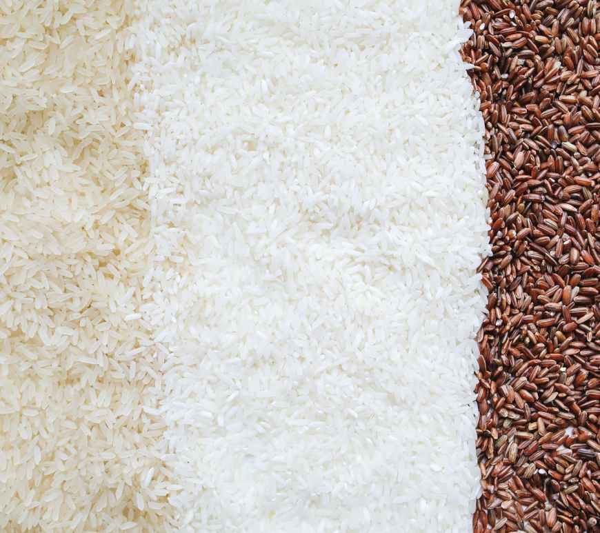 close up photo of assorted rice
