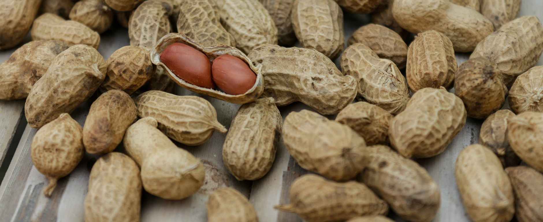 food healthy dry pattern