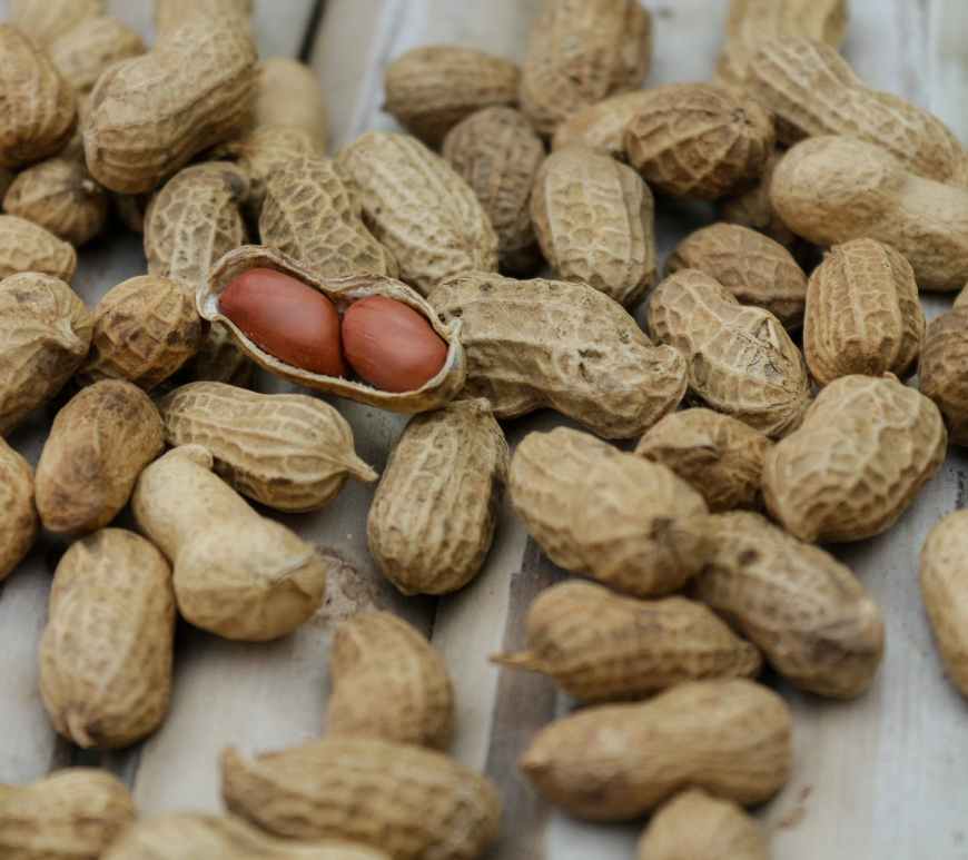 food healthy dry pattern