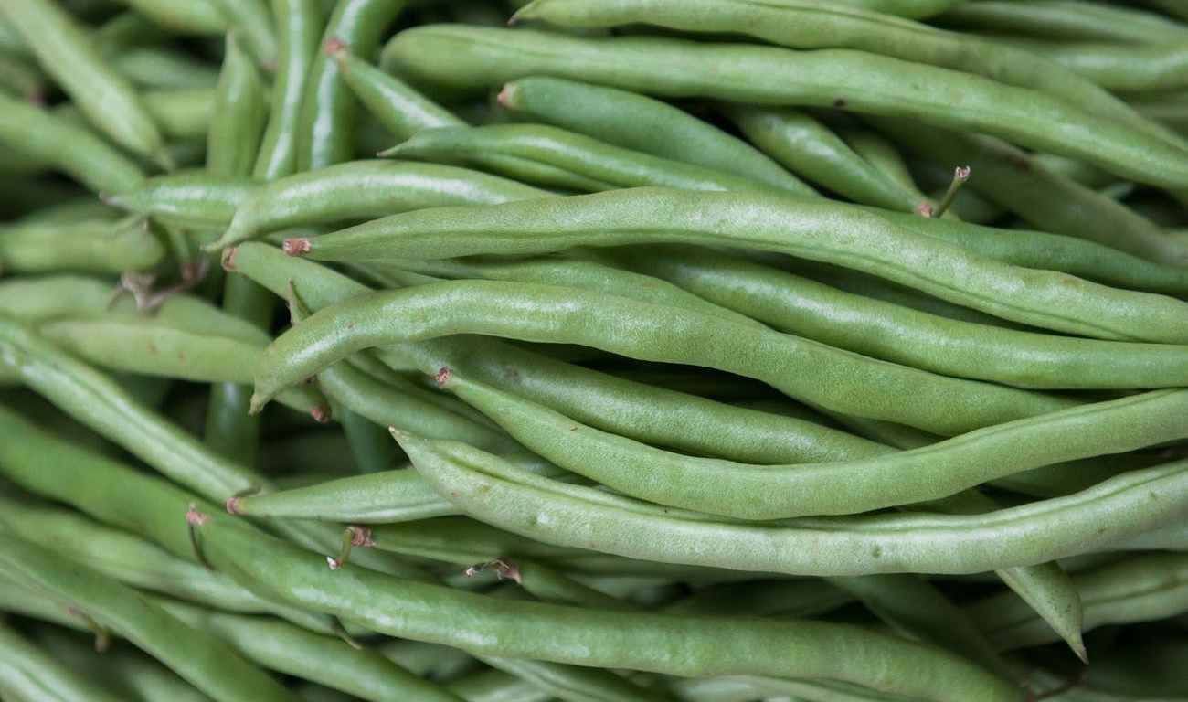 close up photo of raw green beans