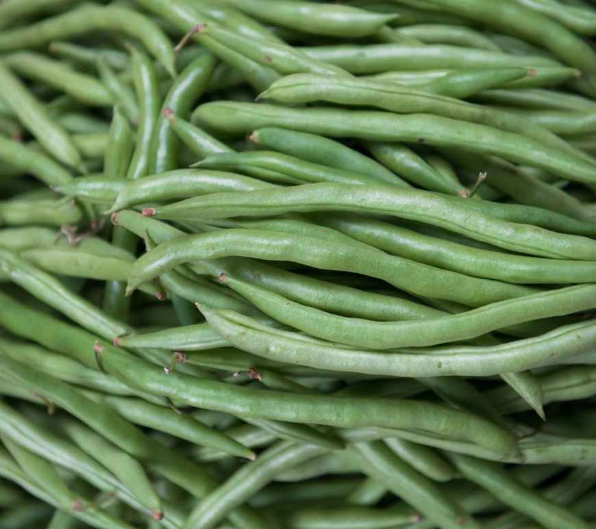 close up photo of raw green beans